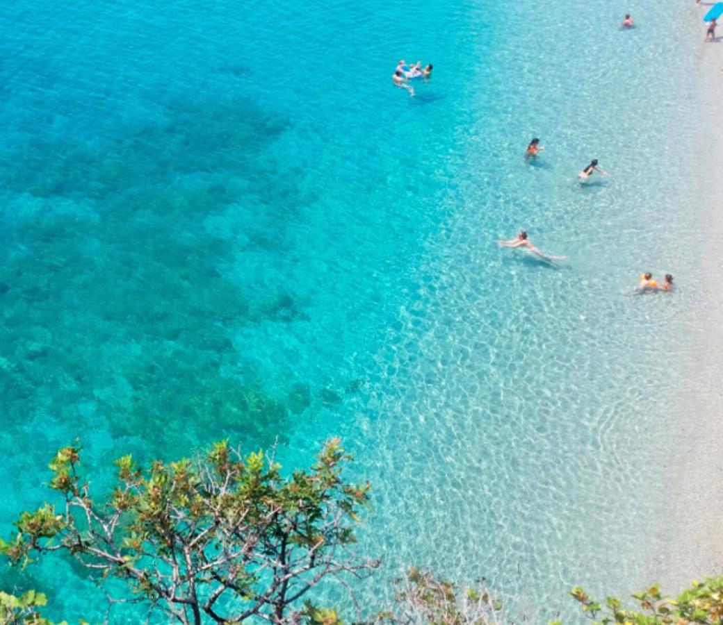 Appartement A 5 Minuti Dal Mare - Dolphin House Spotorno