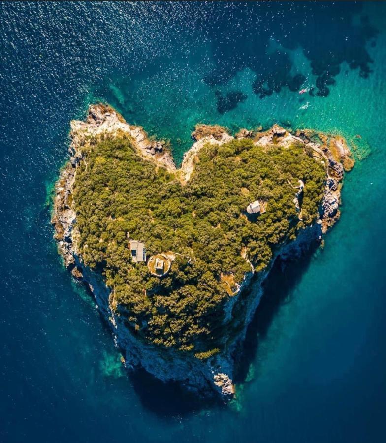 A 5 Minuti Dal Mare - Dolphin House Apartment